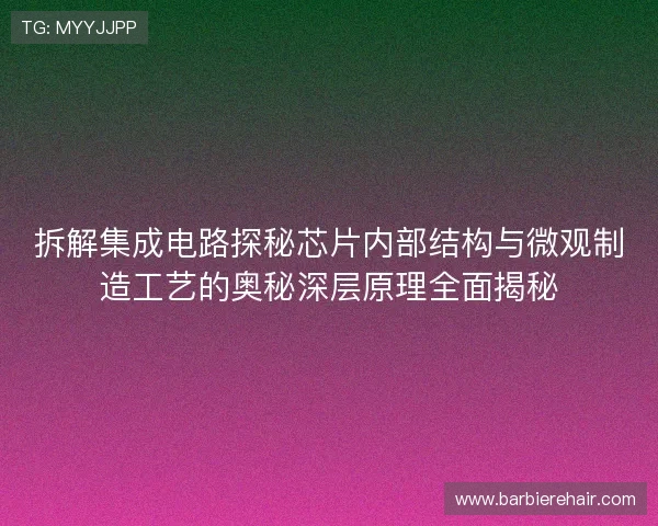 拆解集成电路探秘芯片内部结构与微观制造工艺的奥秘深层原理全面揭秘
